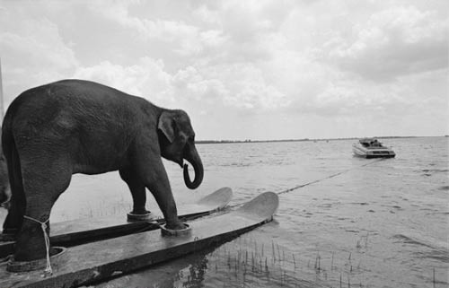 He's about to have an experience he won't forget!